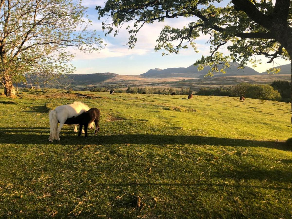 3 Bedroom Log Cabin In Snowdonia Nr Mtb Trails Tanygrisiau Zewnętrze zdjęcie