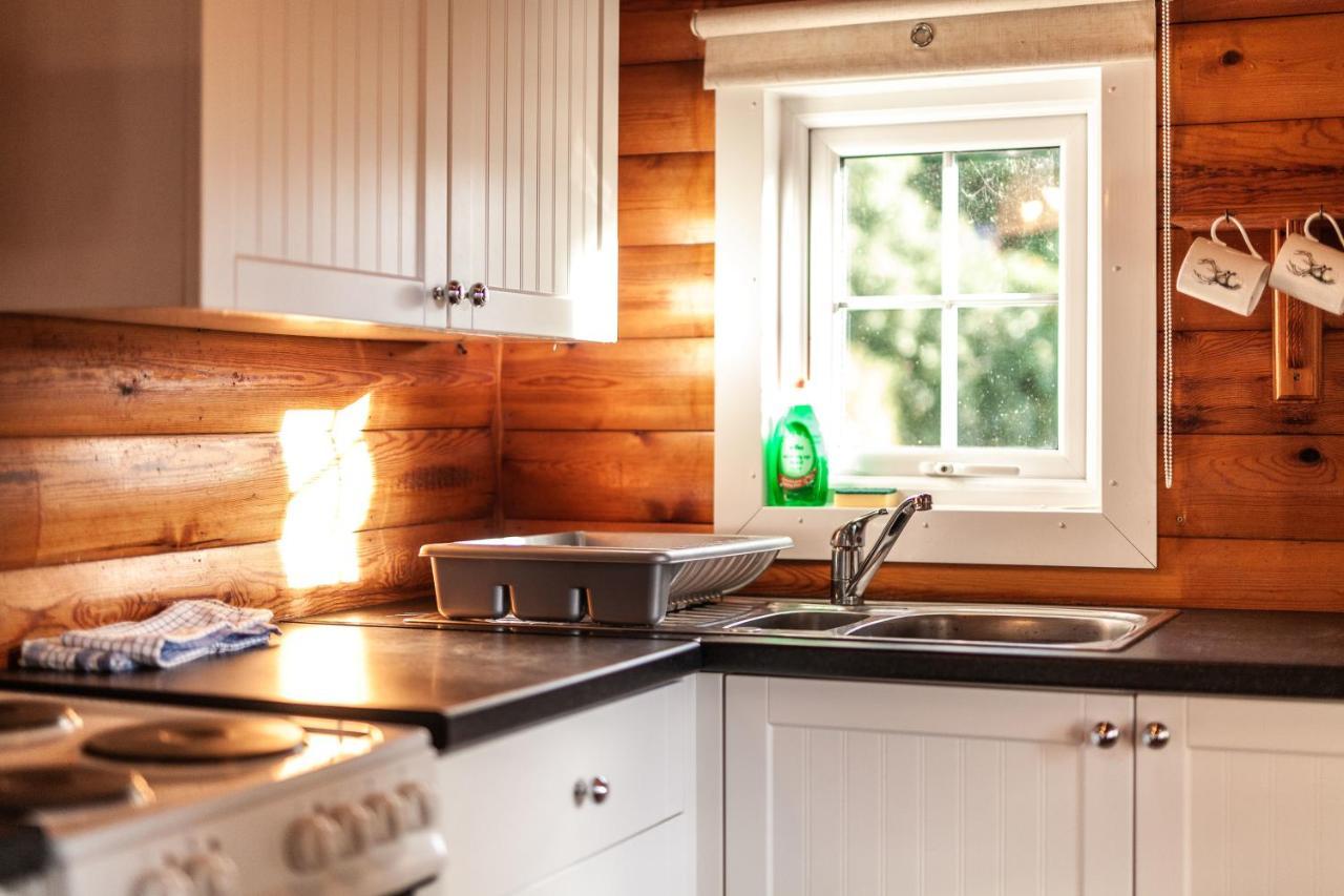 3 Bedroom Log Cabin In Snowdonia Nr Mtb Trails Tanygrisiau Zewnętrze zdjęcie